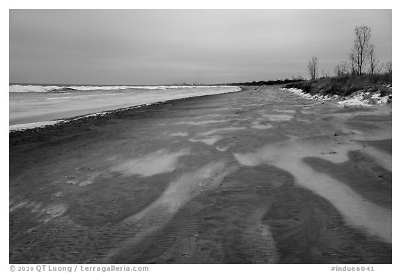 Sandy beach in winter. Indiana Dunes National Park (black and white)