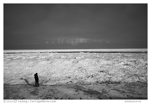 Visitor looking, Mt Baldy Beach. Indiana Dunes National Park (black and white)