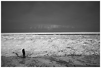 Visitor looking, Mt Baldy Beach. Indiana Dunes National Park ( black and white)