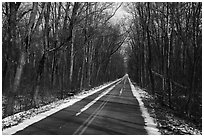 Narrow road in winter. Indiana Dunes National Park ( black and white)