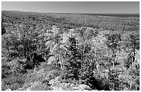 Forested view with Sargent Lake and Lake Superior in the distance. Isle Royale National Park, Michigan, USA. (black and white)