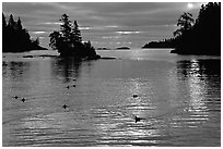 Loons, early morning on Chippewa harbor. Isle Royale National Park ( black and white)