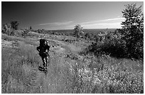 Backpacker walking on Greenstone ridge trail. Isle Royale National Park ( black and white)