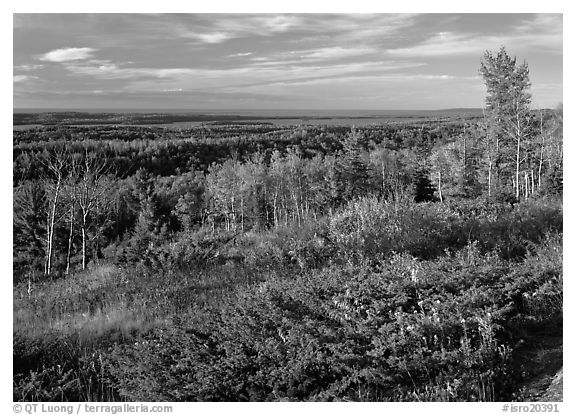 View from Greenstone ridge, looking towards Siskiwit lake. Isle Royale National Park (black and white)