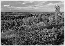 Lake Ojibway from Greenstone ridge in autumn. Isle Royale National Park ( black and white)