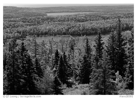 Lakes and forest. Isle Royale National Park (black and white)