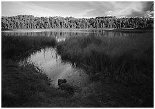 Grasses and East Chickenbone Lake. Isle Royale National Park ( black and white)
