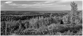 Fall landscape with forest stretching to lakeshore. Isle Royale National Park (Panoramic black and white)