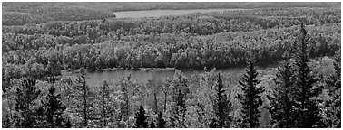 Lakes and forest in autumn. Isle Royale National Park (Panoramic black and white)