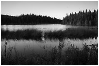 Hidden Lake. Isle Royale National Park ( black and white)