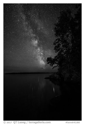 Milky Way and tall trees from Rock Harbor. Isle Royale National Park (black and white)
