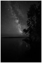 Milky Way and tall trees from Rock Harbor. Isle Royale National Park ( black and white)