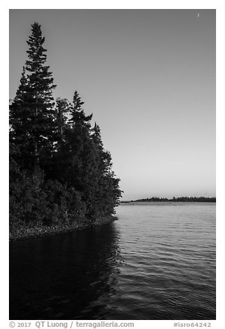 Trees growing at edge of water on Tookers Island. Isle Royale National Park (black and white)