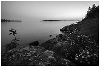 Summer wildflowers and islands, Rock Harbor, sunset. Isle Royale National Park ( black and white)