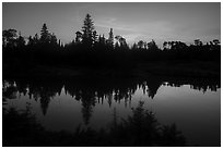 Tree ridge at sunset, Moskey Basin. Isle Royale National Park ( black and white)