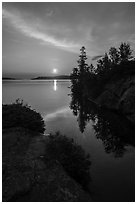 Sunrise and trees, Moskey Basin. Isle Royale National Park ( black and white)