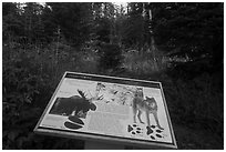 Moose and wolves interpretive sign. Isle Royale National Park ( black and white)