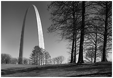 Trees and Arch. Gateway Arch National Park ( black and white)