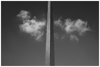 Symmetric view of Arch pillar with clouds and blue skies. Gateway Arch National Park ( black and white)