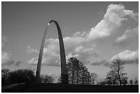 Arch, trees and clouds, winter late afternoon. Gateway Arch National Park ( black and white)