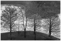Bare trees and drained North Pond. Gateway Arch National Park ( black and white)