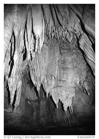 Stalactites in the Frozen Niagara section. Mammoth Cave National Park (black and white)