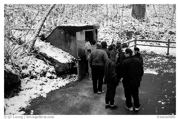 Entrance of Frozen Niagara section of the cave in winter. Mammoth Cave National Park (black and white)