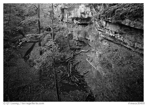 Limestone cliffs and karstic depression in autumn. Mammoth Cave National Park (black and white)