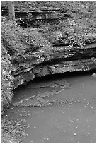 Styx river spring resurgence. Mammoth Cave National Park, Kentucky, USA. (black and white)