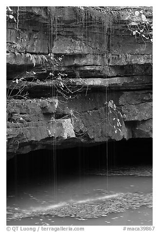 Water drips over limestone ledges and Styx. Mammoth Cave National Park (black and white)