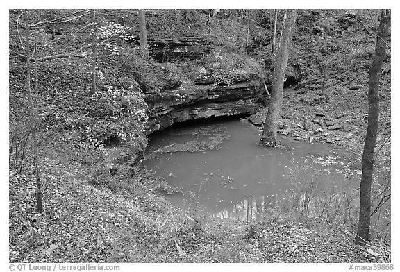 Styx river resurgence in autumn. Mammoth Cave National Park (black and white)