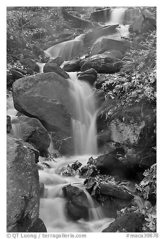 Cascading stream. Mammoth Cave National Park (black and white)