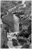 Cascading stream. Mammoth Cave National Park, Kentucky, USA. (black and white)