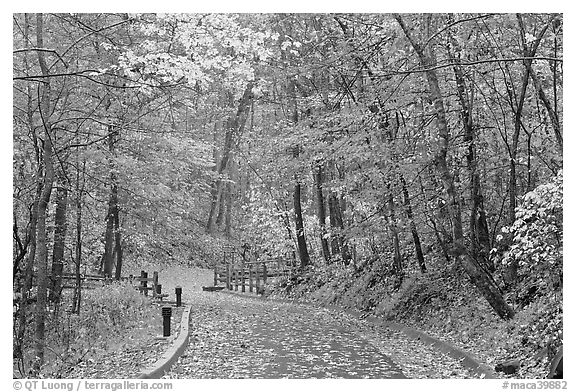 Trail leading to historic cave entrance in the fall. Mammoth Cave National Park, Kentucky, USA.