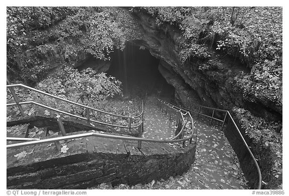Steps and handrails leading down to cave. Mammoth Cave National Park (black and white)