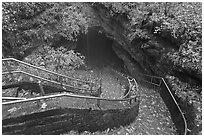 Steps and handrails leading down to cave. Mammoth Cave National Park, Kentucky, USA. (black and white)