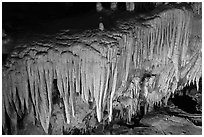 Flowstone detail, Frozen Niagara. Mammoth Cave National Park, Kentucky, USA. (black and white)