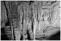 Stalactites detail, Frozen Niagara. Mammoth Cave National Park, Kentucky, USA. (black and white)
