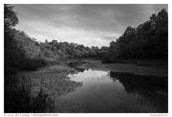 Sloans Crossing Pond. Mammoth Cave National Park (black and white)