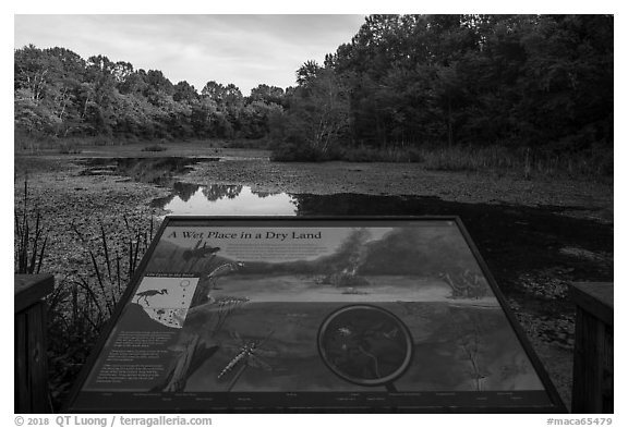 Wet place in a dry land Interpretive sign, Sloans Crossing Pond. Mammoth Cave National Park (black and white)