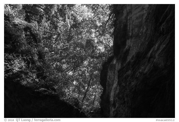 Looking up cave historic entrance. Mammoth Cave National Park (black and white)