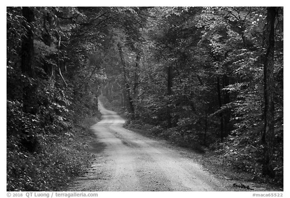 Dennison Ferry Road. Mammoth Cave National Park (black and white)