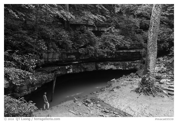 Vistor looking, River Styx resurgence. Mammoth Cave National Park (black and white)