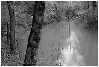 Echo River Spring. Mammoth Cave National Park, Kentucky, USA. (black and white)