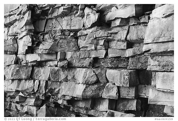 Cliff detail, Castle Rock. New River Gorge National Park and Preserve (black and white)
