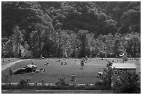 Meadow Creek Campground. New River Gorge National Park and Preserve ( black and white)