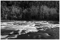 Rapids on New River. New River Gorge National Park and Preserve ( black and white)