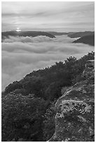 Sun rising over sea of clouds from Grandview. New River Gorge National Park and Preserve ( black and white)