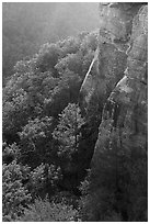 Endless Walls Cliffs. New River Gorge National Park and Preserve ( black and white)