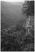 Cliffs and gorge from Diamond Point. New River Gorge National Park and Preserve ( black and white)